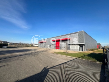 Photo 2 – location Entrepôts / activités	DAGNEUX (01120)